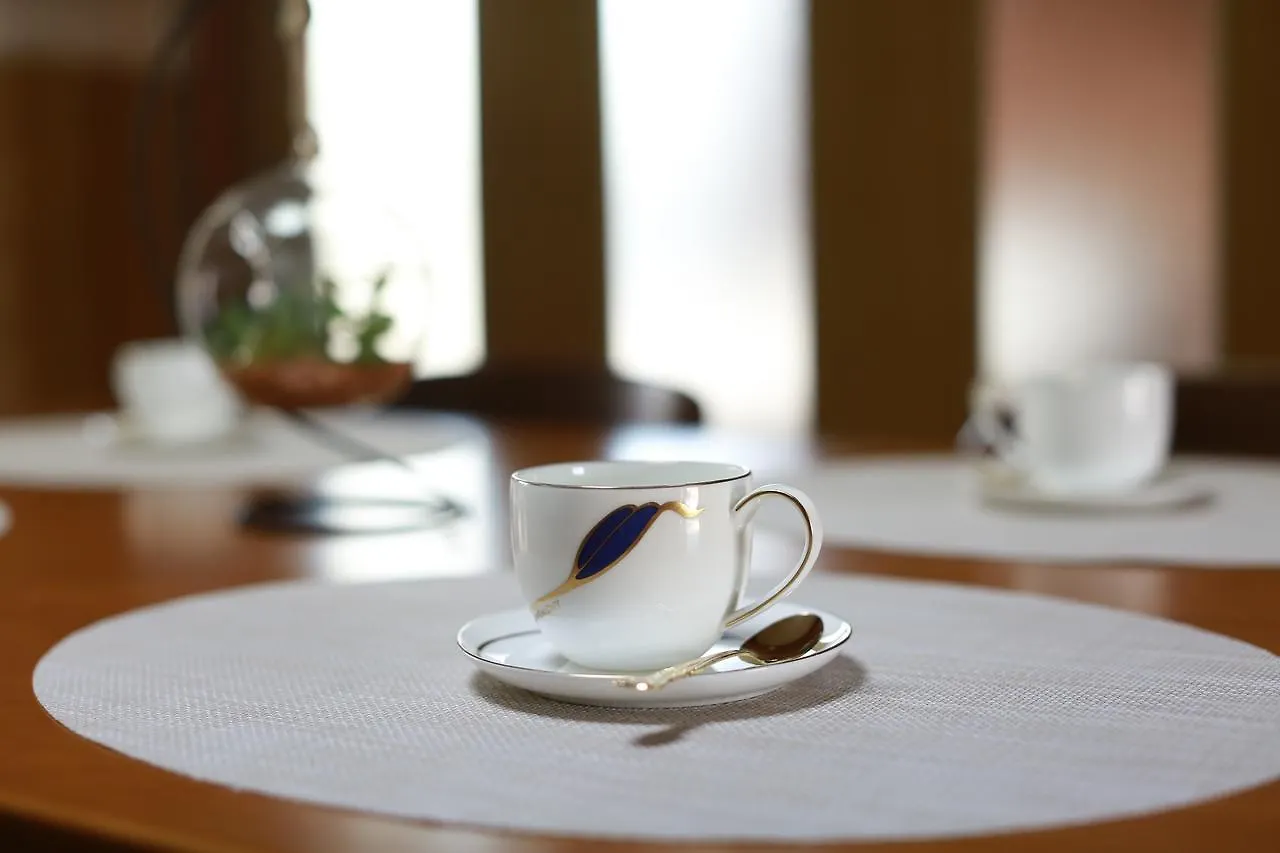 Takematsutei Guest House Kansai Airport Osaka Hostel