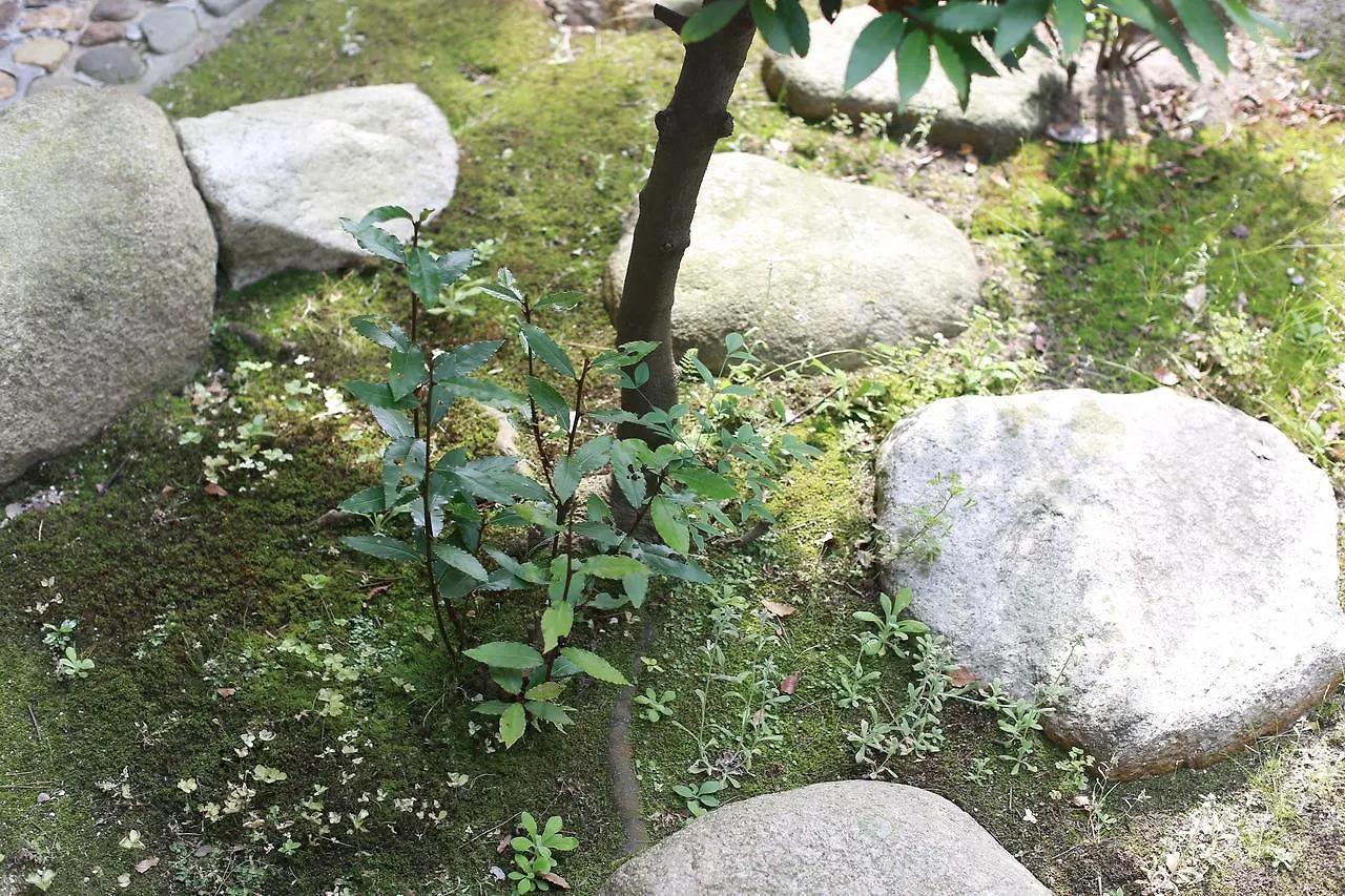 Takematsutei Guest House Kansai Airport Osaka Hostel